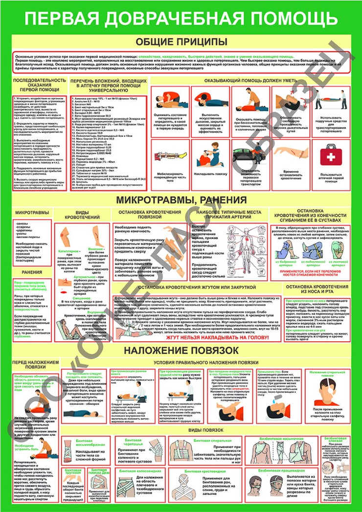 Первая доврачебная помощь